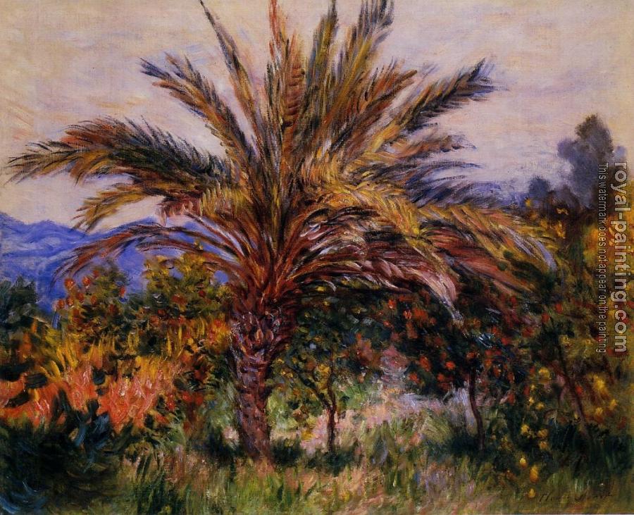 Claude Oscar Monet : A Palm Tree at Bordighera
